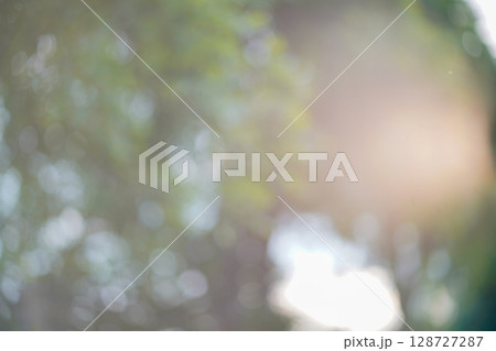 bokeh blur background light through trees bokeh effect 128727287