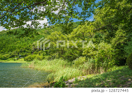 奥琵琶湖風景　滋賀県長浜市西浅井町菅浦 128727445