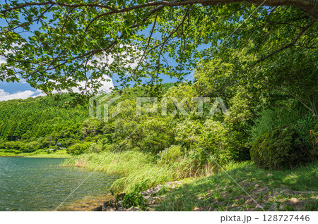 奥琵琶湖風景　滋賀県長浜市西浅井町菅浦 128727446