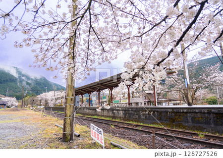 静岡県川根本町　大井川鐵道大井川本線の駅　雨あがりの春の駿河徳山駅 128727526