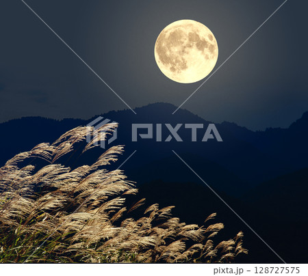 ススキと満月 ススキと満月 128727575