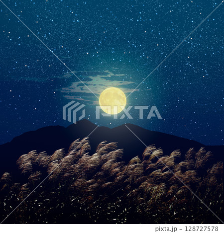ススキと満月 128727578