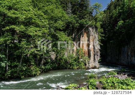 新緑の大函 128727584