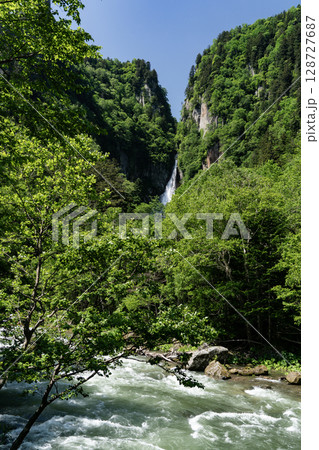 新緑の流星の滝 128727687