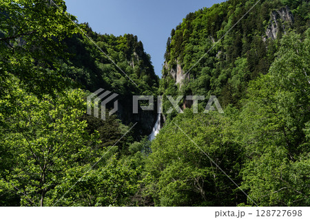 新緑の流星の滝 128727698