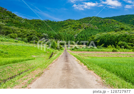 奥琵琶湖菅浦の山田風景　滋賀県長浜市西浅井町 128727977