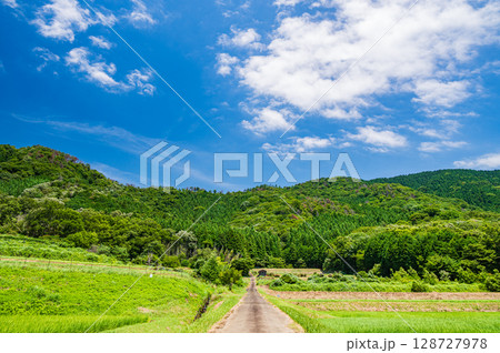 奥琵琶湖菅浦の山田風景　滋賀県長浜市西浅井町 128727978