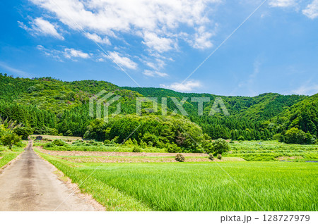 奥琵琶湖菅浦の山田風景　滋賀県長浜市西浅井町 128727979