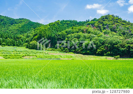 奥琵琶湖菅浦の山田風景 滋賀県長浜市西浅井町 奥琵琶湖菅浦の山田風景 滋賀県長浜市西浅井町 128727980