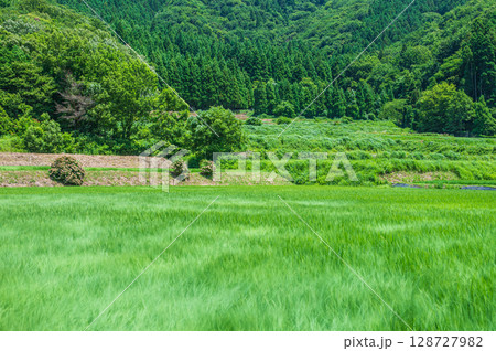 奥琵琶湖菅浦の山田風景 滋賀県長浜市西浅井町 奥琵琶湖菅浦の山田風景 滋賀県長浜市西浅井町 128727982