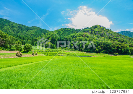 奥琵琶湖菅浦の山田風景 滋賀県長浜市西浅井町 奥琵琶湖菅浦の山田風景 滋賀県長浜市西浅井町 128727984