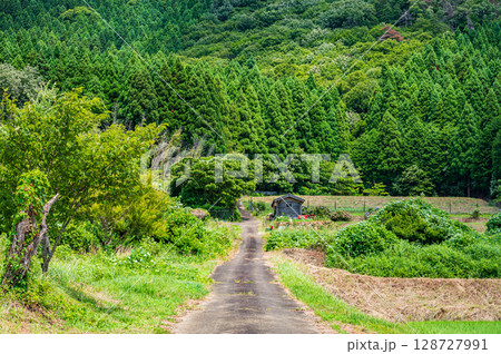 奥琵琶湖菅浦の山田風景 滋賀県長浜市西浅井町 奥琵琶湖菅浦の山田風景 滋賀県長浜市西浅井町 128727991