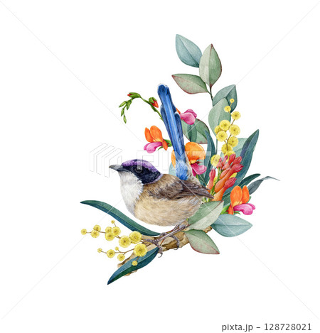 Fairy wren bird with floral decoration watercolor illustration. Hand drawn Australian native bird with gum-tree leaf, wattle flowers. Purple-crowned fairy wren with flower decor on white background Fairy wren bird with floral decoration watercolor illustration. Hand drawn Australian native bird with gum-tree leaf, wattle flowers. Purple-crowned fairy wren with flower decor on white background 128728021