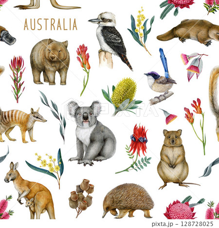 Australia native flora and fauna elements seamless pattern for fabric printing. Hand drawn koala, kangaroo, quokka, platypus, kookaburra with native flowers on white background Australia native flora and fauna elements seamless pattern for fabric printing. Hand drawn koala, kangaroo, quokka, platypus, kookaburra with native flowers on white background 128728025