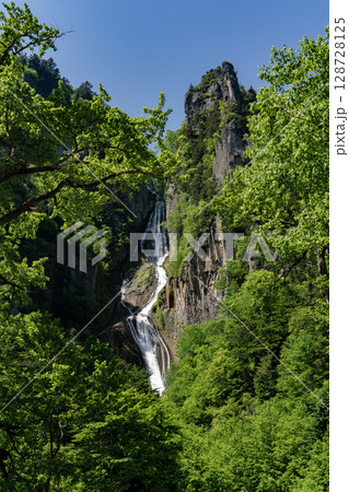 新緑美しい銀河の滝 128728125