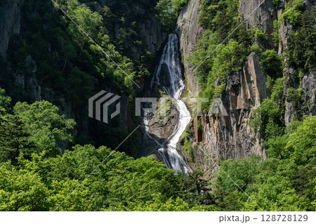 新緑美しい銀河の滝 128728129