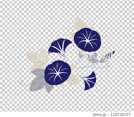Elegant morning glory illustration (dark blue, simple composition, summer flower) 128728155