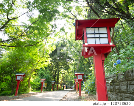 高尾山　登山道に並んだ灯籠　八王子市 128728620