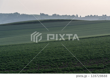 春の田園風景 春の田園風景 128728688