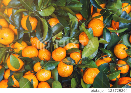 Background with ripe orange tangerines on market stall. Harvest of fresh citrus fruits 128729264