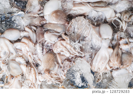 background with octopus catch. Fresh chilled octopuses in ice at seafood market close-up background with octopus catch. Fresh chilled octopuses in ice at seafood market close-up 128729283