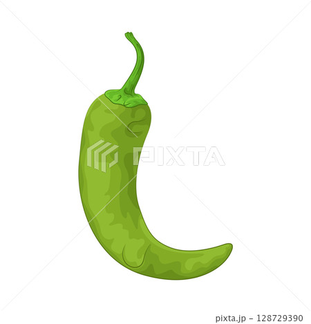 Illustration of Green Chili Pepper Illustration of Green Chili Pepper 128729390