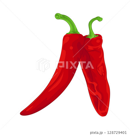 Illustration of Red Chili Pepper Illustration of Red Chili Pepper 128729401