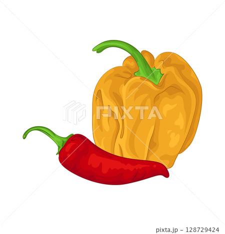 Illustration of Red Chili Pepper and Habanero Pepper Illustration of Red Chili Pepper and Habanero Pepper 128729424