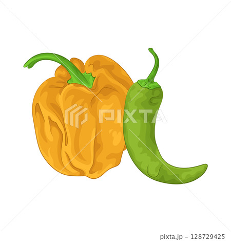Illustration of Green Chili Pepper and Habanero Pepper Illustration of Green Chili Pepper and Habanero Pepper 128729425