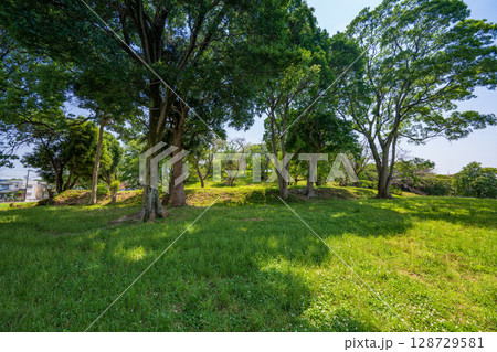 古室山古墳（大阪府藤井寺市） 128729581