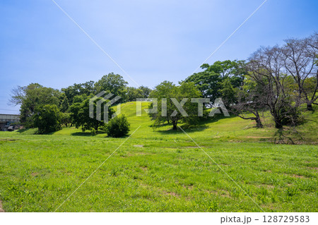 古室山古墳（大阪府藤井寺市） 128729583