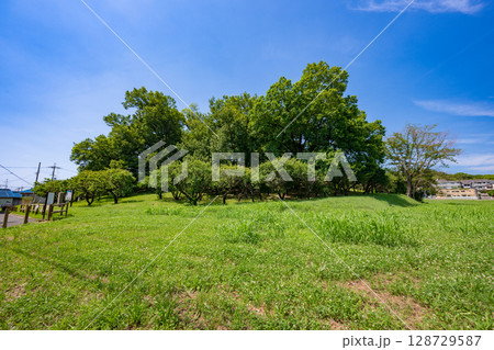 古室山古墳(大阪府藤井寺市) 古室山古墳(大阪府藤井寺市) 128729587