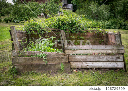 Wooden Garden Compost Bin Filled with Organic Waste and Overgrown Green Plants in Backyard Wooden Garden Compost Bin Filled with Organic Waste and Overgrown Green Plants in Backyard 128729899