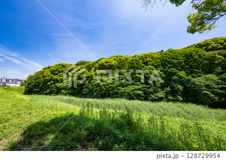 仲姫命陵古墳(仲津山古墳)大阪府藤井寺市 仲姫命陵古墳(仲津山古墳)大阪府藤井寺市 128729954