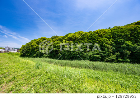 仲姫命陵古墳（仲津山古墳）大阪府藤井寺市 128729955