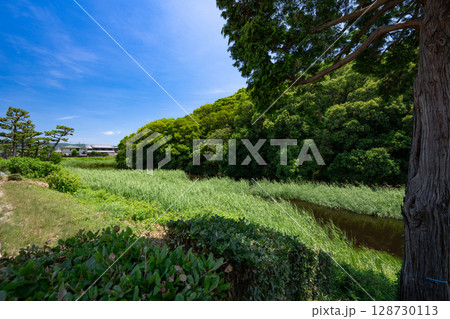 允恭天皇陵古墳(市野山古墳)大阪府藤井寺市 允恭天皇陵古墳(市野山古墳)大阪府藤井寺市 128730113
