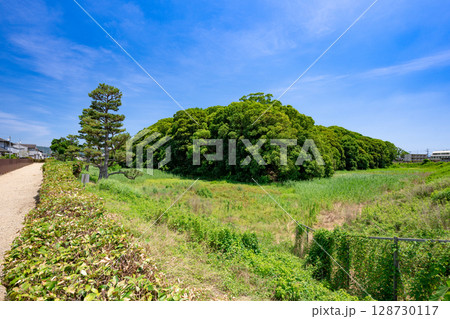 允恭天皇陵古墳（市野山古墳）大阪府藤井寺市 128730117