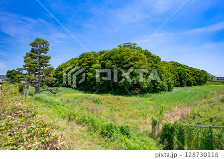 允恭天皇陵古墳(市野山古墳)大阪府藤井寺市 允恭天皇陵古墳(市野山古墳)大阪府藤井寺市 128730118