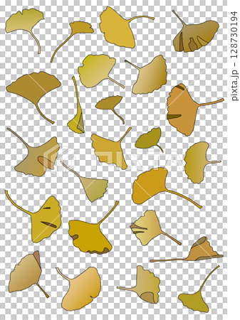 銀杏葉枯黃落葉 128730194