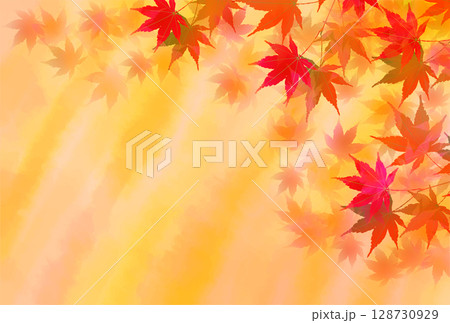 紅葉　もみじ　秋　背景	 128730929