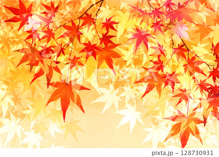 紅葉　もみじ　秋　背景	 128730931