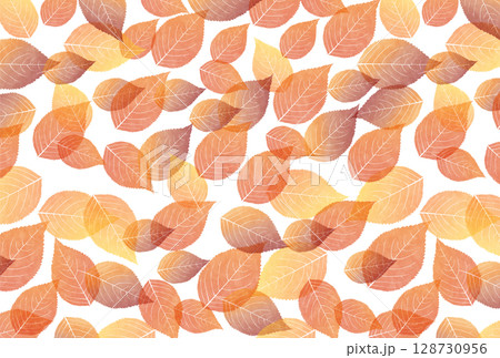 紅葉　もみじ　秋　背景	 128730956