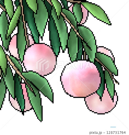 光沢のある桃のイラスト 128731764