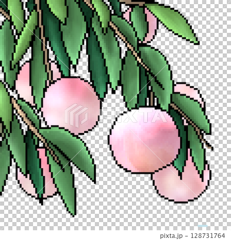 光沢のある桃のイラスト 128731764