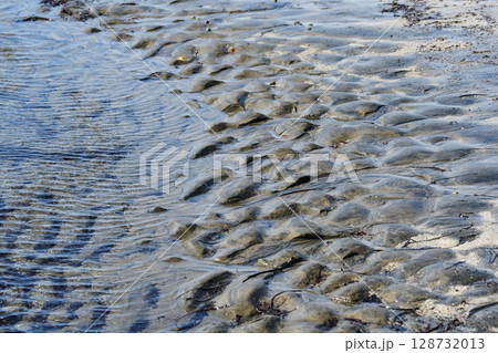 干潮のボコボコした海岸 128732013