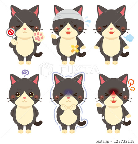 様々な状態の猫のキャラクターイラストセット	 128732119