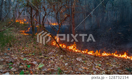 Wildfires release carbon dioxide (CO2) emissions and other greenhouse gases (GHG) that contribute to climate change. 128732154