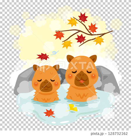 温泉に浸かったカピバラのイラスト　秋の紅葉風呂 128732162