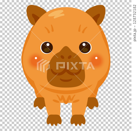 正面から見たカピバラのイラスト 128732182