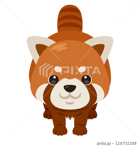 正面から見たレッサーパンダのイラスト 128732208